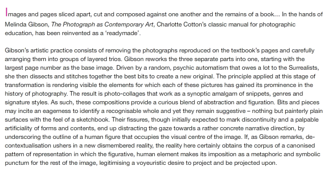 How Do I Include Transition Words in My Essay?